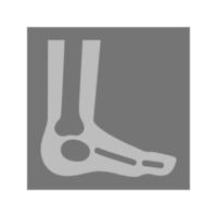 Foot X-ray Flat Multicolor Icon vector