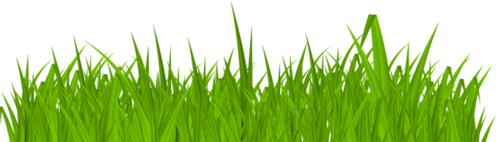 grönt växande gräs. png