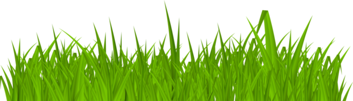 Grass png images