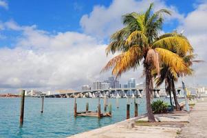 Vista tropical de la ciudad de Miami foto