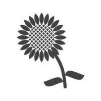 girasoles glifo icono negro vector