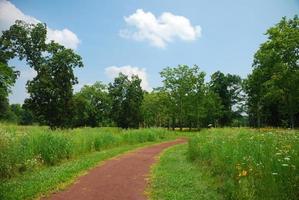 Quiet rural trail photo