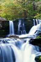 Waterfall in forest photo