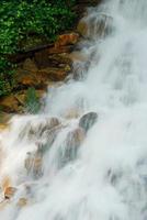 Waterfall with plants photo