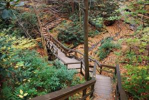 Autumn hiking trail photo