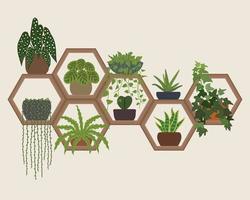 Hexagon Wall Shelves Plants Decoration vector