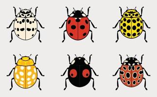 Cartoon Color Lady Bug Icon Set Stock Vector (Royalty Free) 1450594511