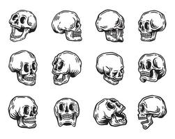 conjunto de vectores de colección de cráneo