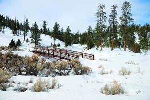 Snow field with bridge and trees photo