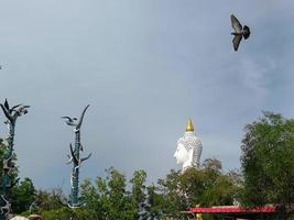 Side view, White buddha in garden of green leaves and flying bird on blue sky background photo