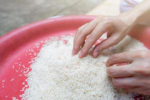 Woman hand holding rice in plastic tray. Uncooked milled white rice. Rice price in world market. World yield for rice concept. Zakat and charity. Global food crisis concept. Organic cereal grain. photo