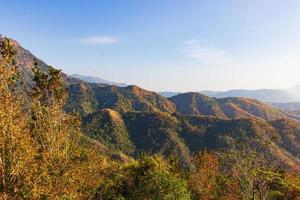 plantas y flores silvestres en la montaña, vistas a las montañas en la provincia de phetchabun, tailandia. foto