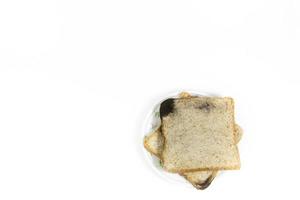 Two square slices of bread placed on a fungal infection plate, on isolated white background. photo