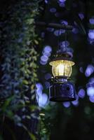 antique oil lamp hanging on a tree in the forest in the evening camping atmosphere.Travel Outdoor Concept image.soft focus. photo