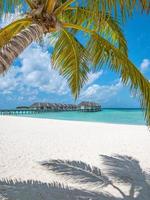 Maldives water villas under palm tree leaves, white sand, blue sea view. Sunny blue sky, tropical island coast landscape, exotic summer holiday. Beach vacation template, vertical wallpaper photo