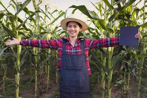 Smart farmer standing in green corn farm holding tablet. photo