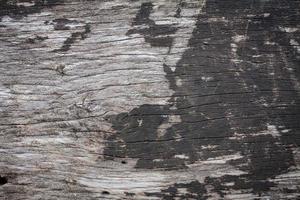 wood texture close up photo