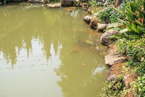 koi fish in garden pond decorative landscape design photo