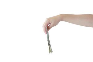 hand with money isolated on white background photo