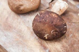 Shiitake mushrooms on wood background photo