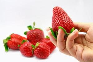 hand holding fresh strawberries photo