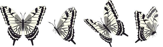 conjunto vectorial de hermosas mariposas coloridas sobre un fondo blanco vector