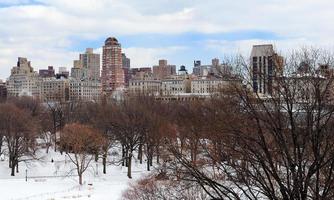 panorama del parque central de manhattan de la ciudad de nueva york en invierno foto