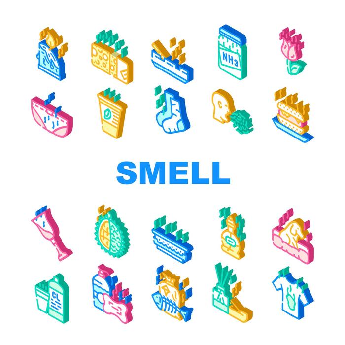Smell Vector Art, Icons, and Graphics for Free Download