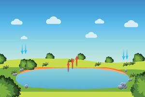 proceso del ciclo del agua con un estanque y un cielo azul. Diagrama infográfico del proceso de evaporación, condensación y precipitación para el estudio. campo verde con arbustos y un pequeño estanque para la evaporación del agua. vector
