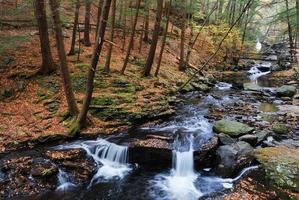 Autumn creek in woods with foliage photo