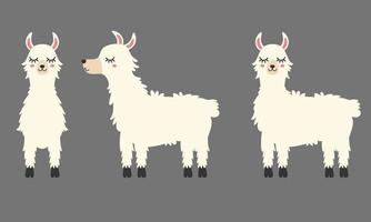 vector de llama blanca, imágenes prediseñadas de llama linda