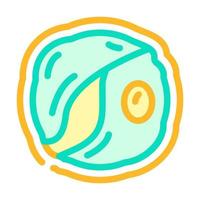 chlorella seaweed color icon vector illustration