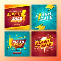 Flash Sale Social Media Post vector