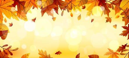 Fallen Leaves Background vector