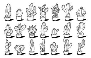 colección de vectores de cactus dibujados a mano