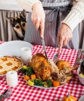 woman preparing thanksgiving dinner at home kitchen, dog looking at table from behind photo