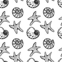 Seamless, hand-drawn sea creatures in sketch style. Seashells, starfish and bubbles. Black and white palette. White background. Isolated. Summer. Ocean. Flat design. Vector illustration