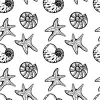 Seamless, hand-drawn sea creatures in sketch style. Seashells, starfish and bubbles. Black and white palette. White background. Isolated. Summer. Ocean. Flat design. Vector illustration