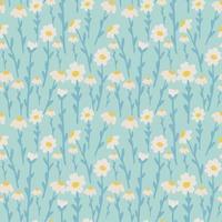 Beautiful summer background with daisies flowers. Floral seamless pattern. Vector illustration.
