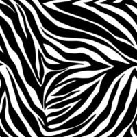 Vector animal print. Zebra ornament. Seamless pattern