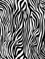 Vector animal print. Zebra ornament. Seamless pattern