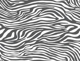 Vector animal print. Zebra ornament. Seamless pattern