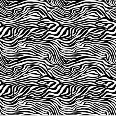 Vector animal print. Zebra ornament. Seamless pattern