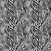 Vector animal print. Zebra ornament. Seamless pattern