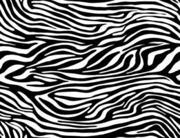 Vector animal print. Zebra ornament. Seamless pattern