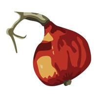 calabaza, una gran fruta naranja madura. ilustración de stock vectorial aislada sobre fondo blanco. vector