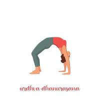 Woman doing online home workout. Body positive. Attractive woman. Urdhva Dhanurasana, Upward Bow or Wheel Pose. Flat vector illustration isolated on white background