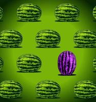 purple watermelon among green... vector