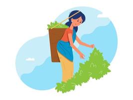 Indian girl tea picker. Vector illustration with mountains and clear sky in the background