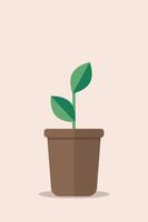 Simple plant with green leaves in brown pot. cozy home, interior details, naturalness vector